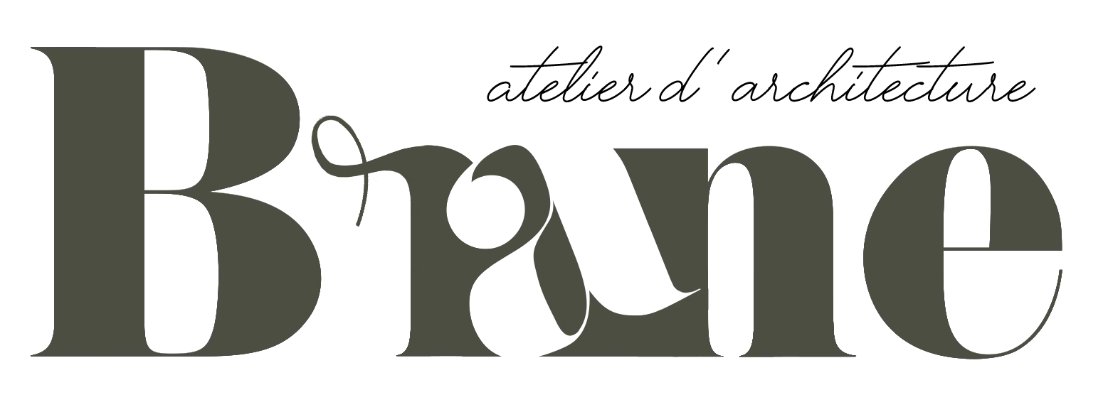 Logo de Brane